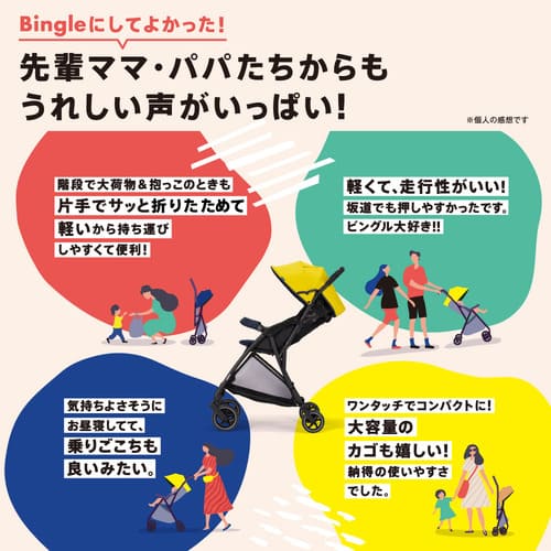 ピジョンB型ベビーカー BingleBB2　押しやすいさで評判です。